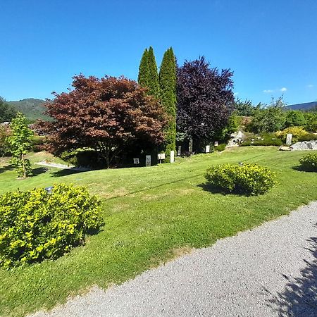 Chalet De Grettery Saulxures-sur-Moselotte Zewnętrze zdjęcie