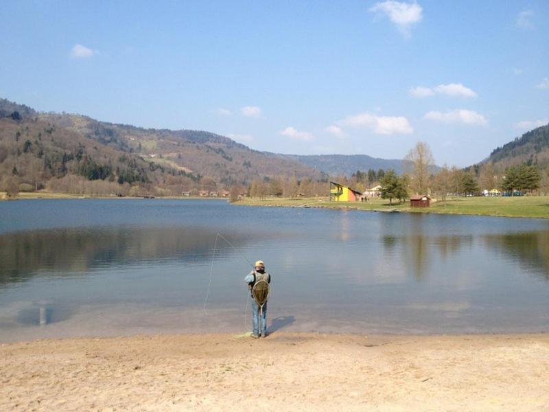 Chalet De Grettery Saulxures-sur-Moselotte Zewnętrze zdjęcie